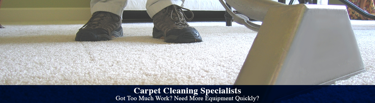 carpet specialists